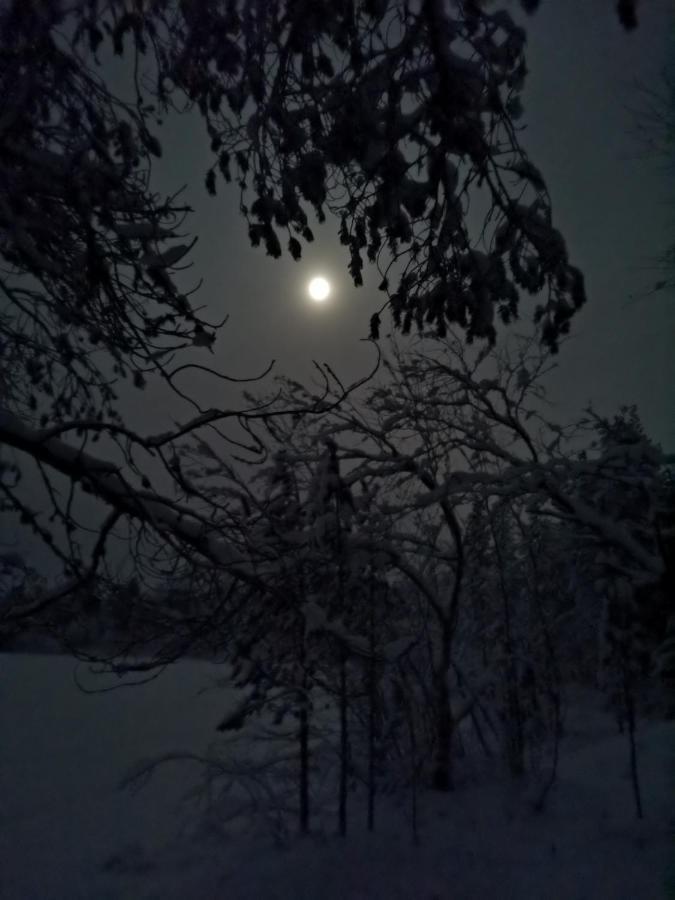 Revontulen Tupa Villa Kaamanen Buitenkant foto