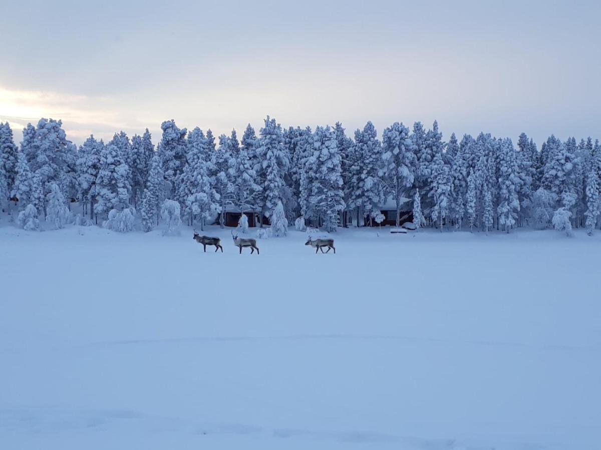 Revontulen Tupa Villa Kaamanen Buitenkant foto